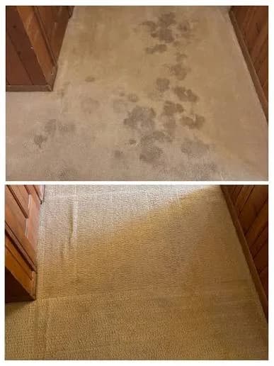 Before-and-after comparison of a carpeted hallway