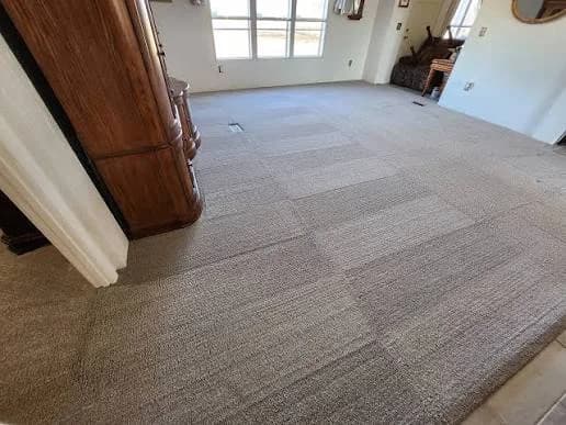 Carpeted living room with visible cleaning lines